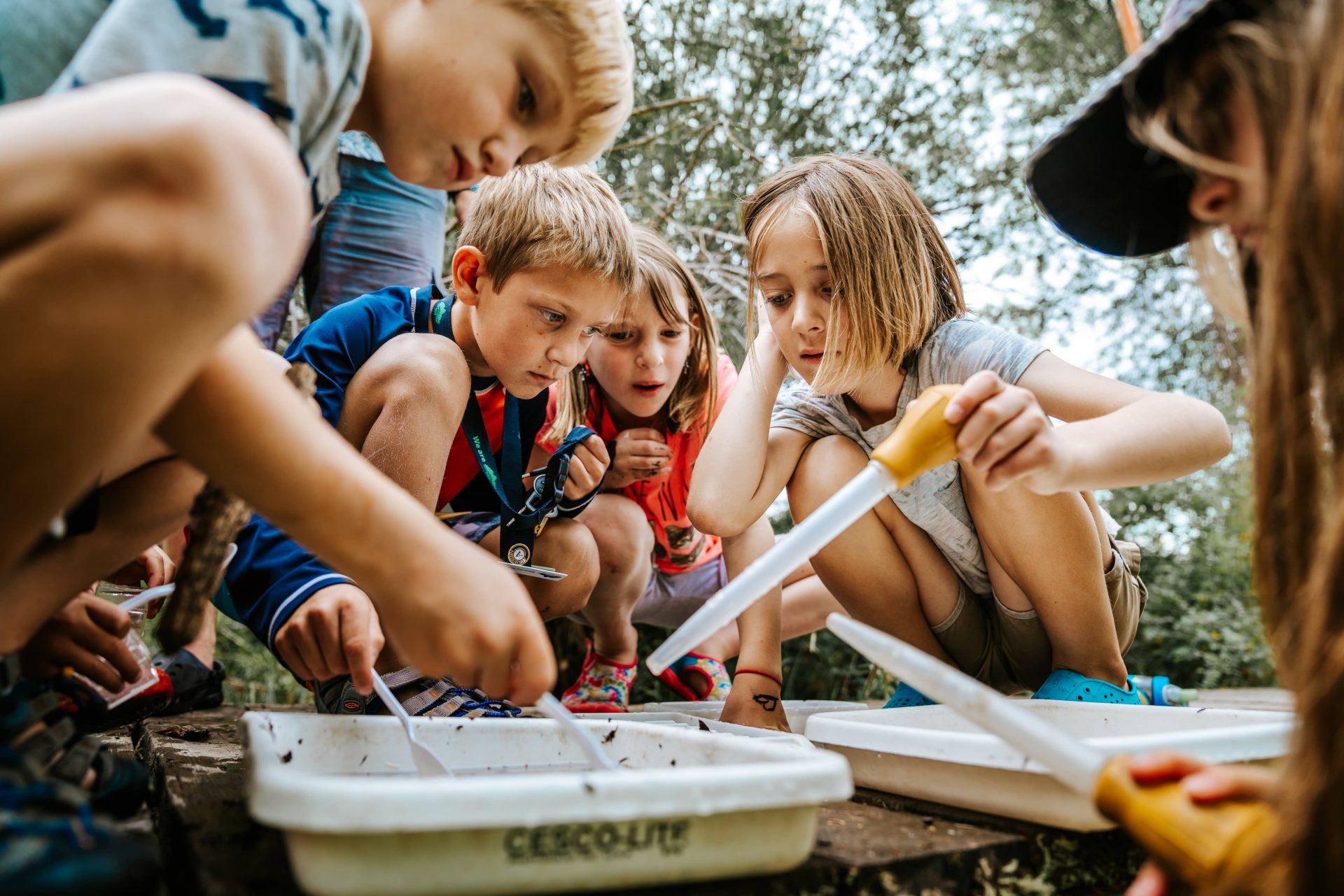 In What Ways Might Science Be Taught In The Outdoors?
