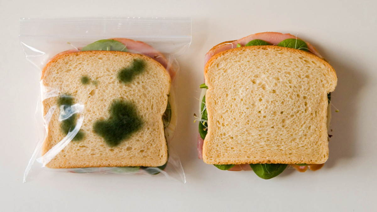 The Ultimate Guide to Hilarious and Random Gifts for Your Teacher Bestie